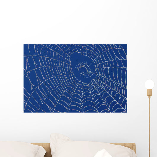 Spider Web Wall Mural
