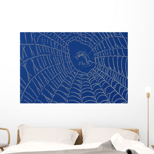 Spider Web Wall Mural