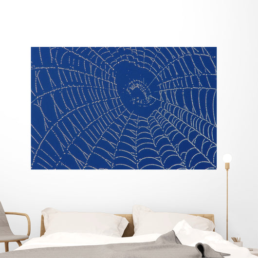 Spider Web Wall Mural