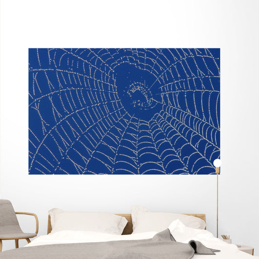 Spider Web Wall Mural