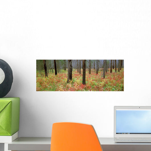 Fv1080, Darwin Wiggett Wall Mural