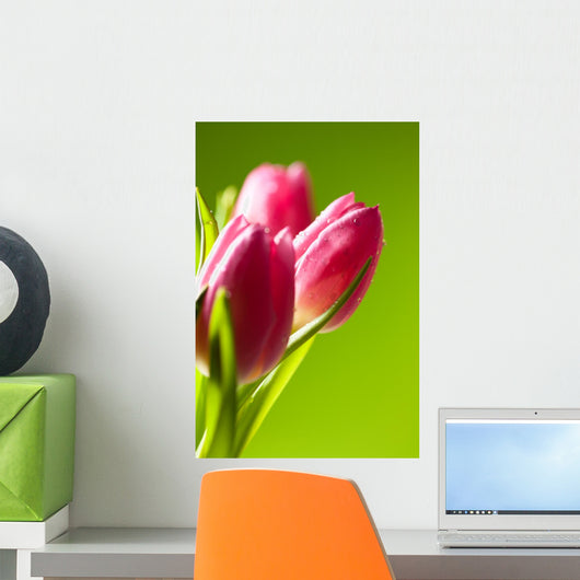 tulips on green Wall Mural