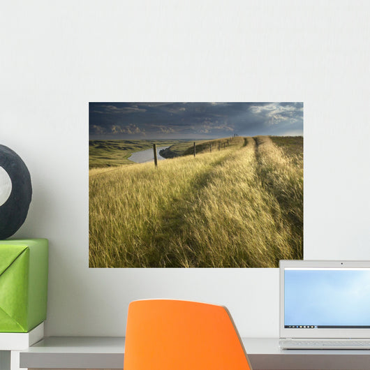 Vehicle Tracks Across Field And Red Deer River, Alberta Wall Mural