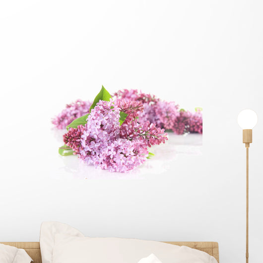 Lilcs Wall Decal