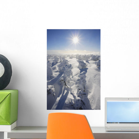 Mont Logan, Gaspesie National Park, Quebec Wall Mural