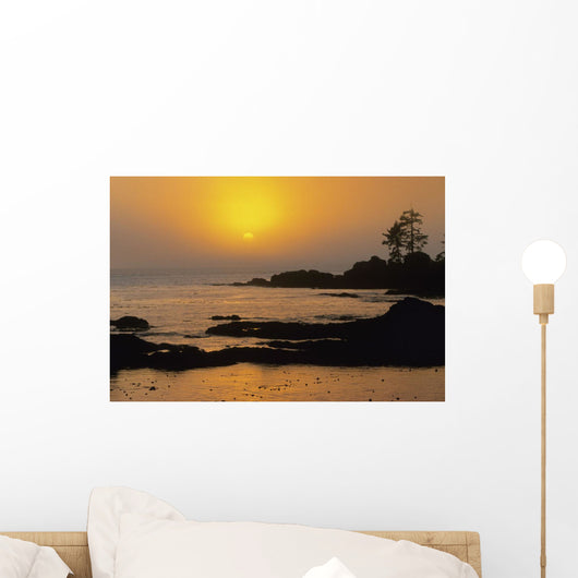 Sunset And Fog, Botany Bay, Vancouver Island, Bc Wall Mural