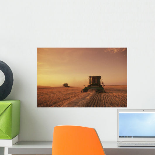 Spring Wheat Harvest, Tiger Hills, Manitoba Wall Mural