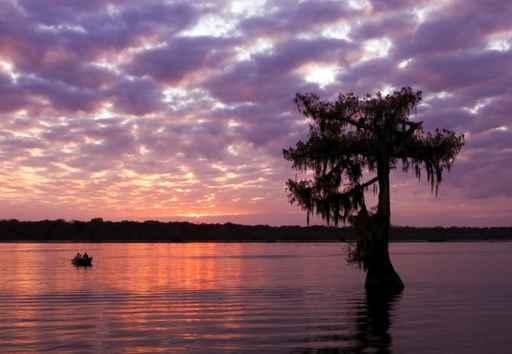 Lake Martin Sunset Wall Decal