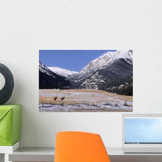 American Elk Wall Mural