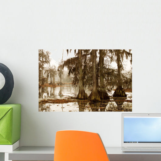 misty morning in the swamp Wall Mural