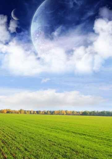 Fields Far Planet Wall Decal