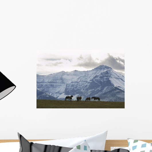Horses And Mountains, Southern Alberta Wall Mural