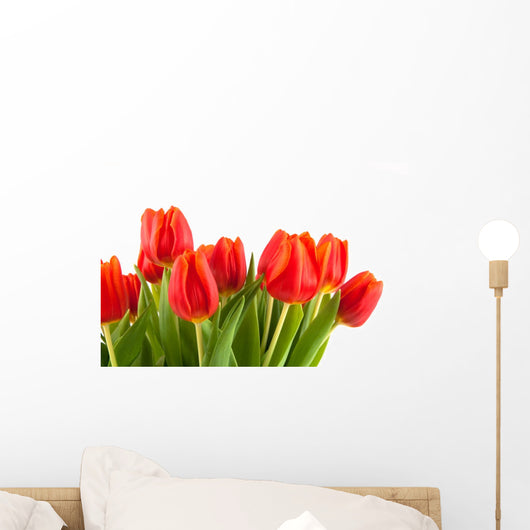 Tulips Rotorange