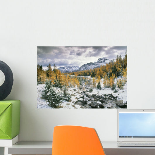 Larch Valley, Banff National Park, Alberta Wall Mural