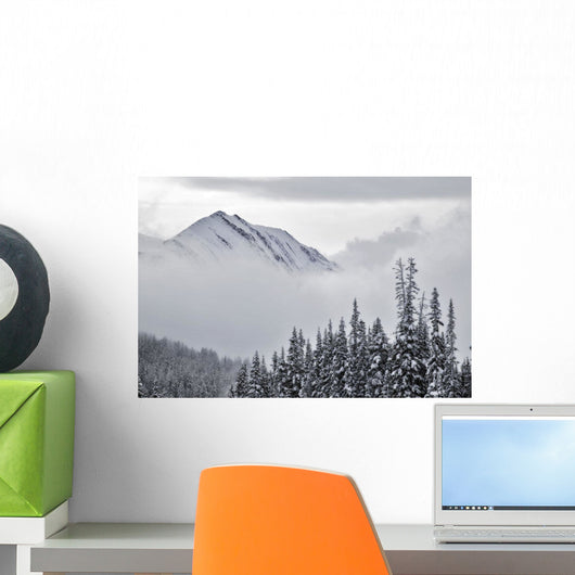 Kananaskis Country In Winter, Peter Lougheed Provincial Park, Alberta Wall Mural