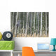 Grey Owl Wall Mural