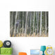 Grey Owl Wall Mural