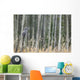 Grey Owl Wall Mural
