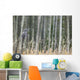 Grey Owl Wall Mural