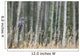 Grey Owl Wall Mural