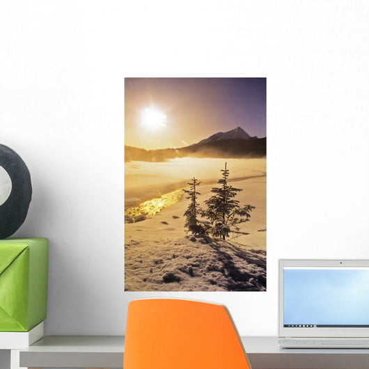 Medicine Lake, Jasper National Park, Alberta Wall Mural