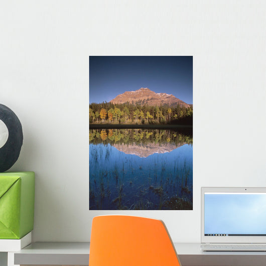 Mt Kerkeslin From Pond Along The Geraldine Lakes Road Wall Mural