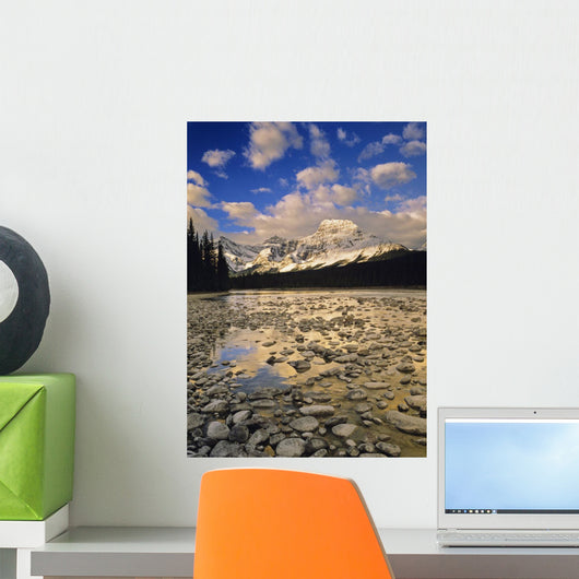 Mount Fryatt And The Athabasca River, Jasper National Park, Alberta Wall Mural