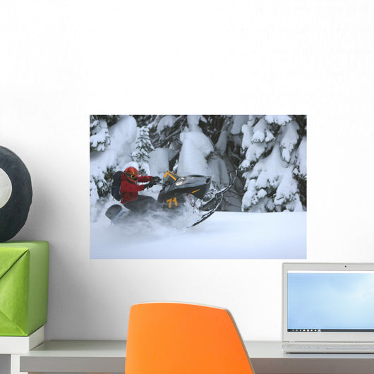 Snowmobile Roost