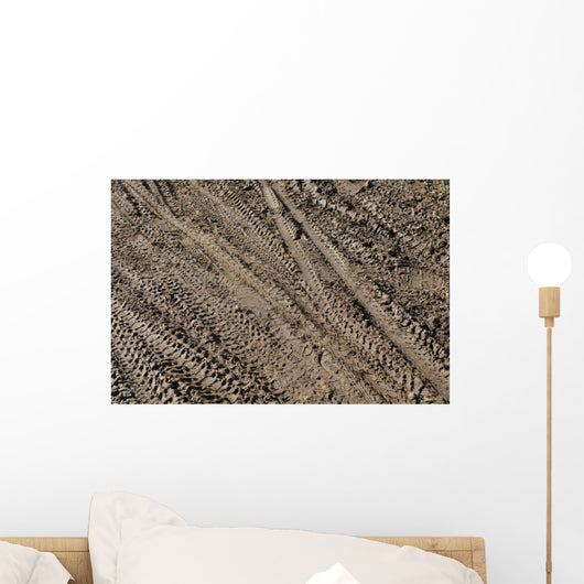 Mountain Bike Tracks Wall Mural