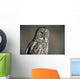 Great Grey Owl, Northern British Columbia Wall Mural