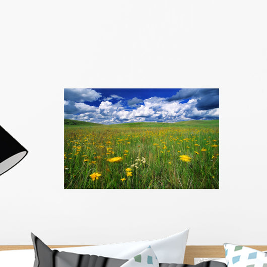 Field Of Flowers, Grasslands National Park, Saskatchewan Wall Mural