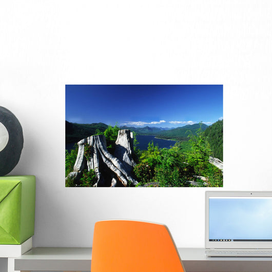 View Of Nitnat Lake, Vancouver Island, British Columbia Wall Mural