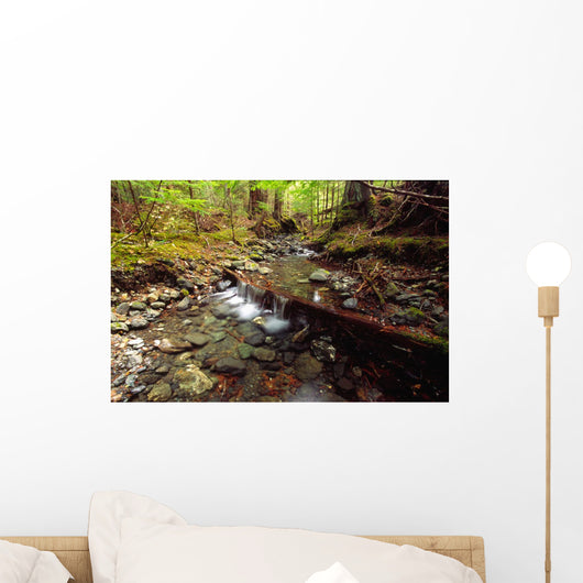 Lupin Creek, Strathcona Provincial Park, British Columbia Wall Mural