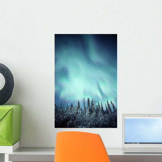Northern Lights Over Snow Covered Trees, Along Dempster Highway, Yukon Wall Mural