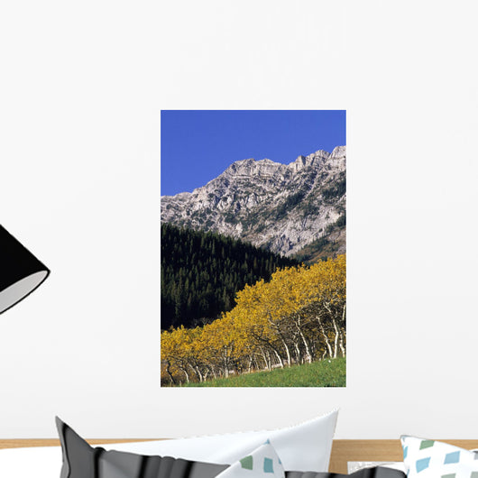 Aspen And Spruce Trees, Livingstone Range, Burmis, Alberta Wall Mural