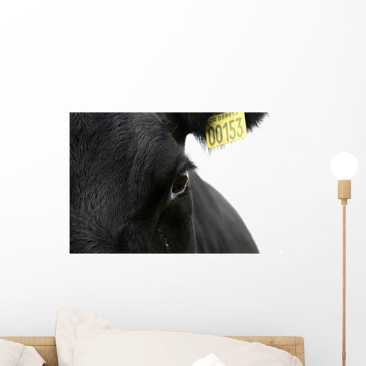 Danish Cows Wall Mural