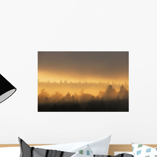 Sunrise In Fog, La Mauricie National Park Quebec Wall Mural