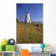 Swallowtail Lighthouse And Cat Tails, Grand Manan Island New Brunswick Wall Mural