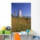 Swallowtail Lighthouse And Cat Tails, Grand Manan Island New Brunswick Wall Mural