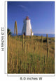 Swallowtail Lighthouse And Cat Tails, Grand Manan Island New Brunswick Wall Mural