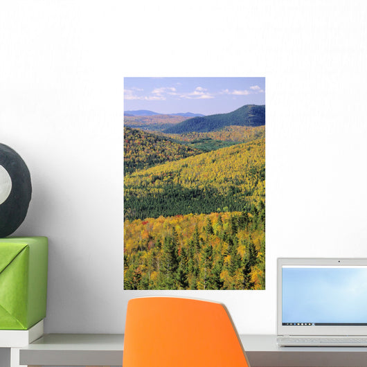 Mount Bailey Overlook, Mount Carleton Provincial Park,New Brunswick Wall Mural