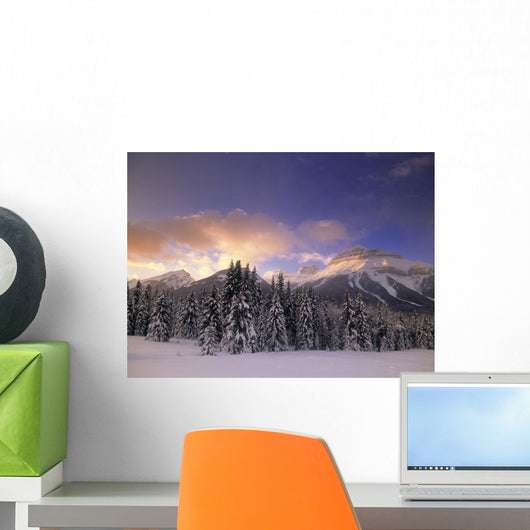 Bow Valley And The Massive Range, Banff National Park, Alberta Canada Wall Mural