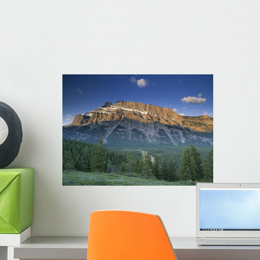 Mt Rundle And The Bow River From The Hoodoo Trail Overlook Wall Mural