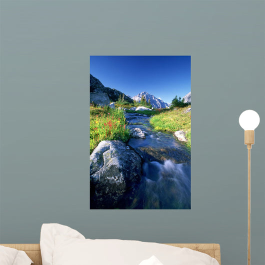 Nabob Pass, Mt Mercator, Waddington Area, British Columbia Wall Mural