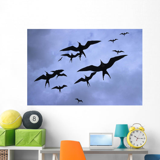 Frigate Birds In Flight Lighthouse Reef Wall Mural