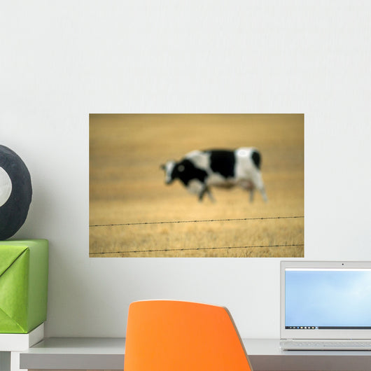 Grazing Cow, Alberta, Canada Wall Mural