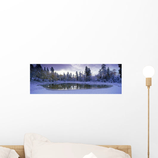Pond And Fresh Snowfall, Near 70 Mile House, British Columbia, Canada Wall Mural