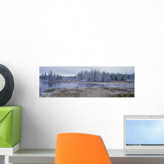 Frozen Swampland, Near 100 Mile House, British Columbia, Canada Wall Mural