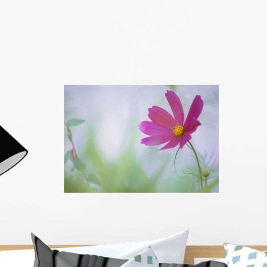 Flower In Garden, Alberta, Canada Wall Mural