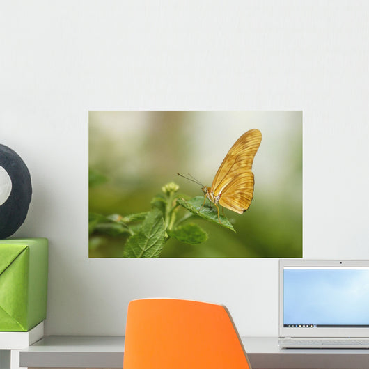 Butterfly Garden, Calgary Zoo, Calgary, Alberta, Canada Wall Mural